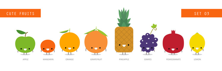 Vector fruit design