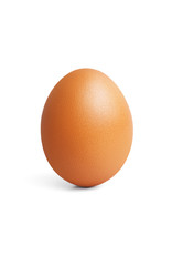 Closeup vertical standing brown chicken egg isolated on white background with shadow