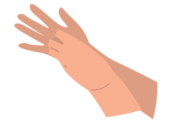 爪の間を洗う手のイラスト