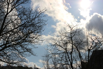 Frühling Himmel mit Woken und Sonne und Baum