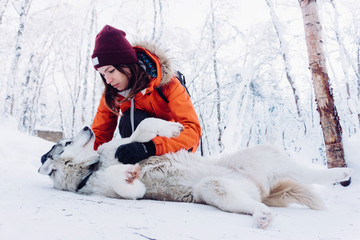 a girl in a bright orange jacket plays with a dog of a husky breed that lies on its back and enjoys petting in the snow in winter on a frosty day