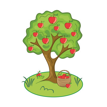 Picture of isolated apple tree on white background. Vector illustration