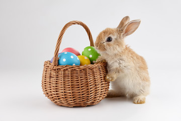 Easter bunny rabbit with basket full of eggs - 326381878