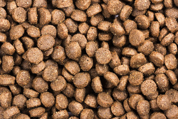 Dry food for dog and cat background, close-up, top view