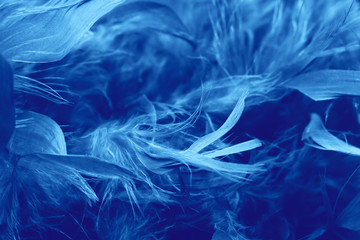 Boa feathers close up. Classic blue color. The trend of the 20s style.