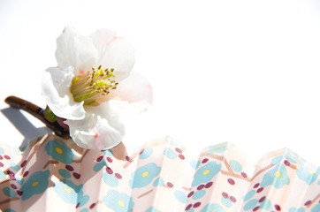 Spring Image of Japan with Bright color