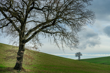 Early spring in central Italy