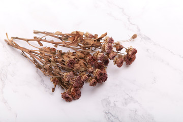 Dried flowers