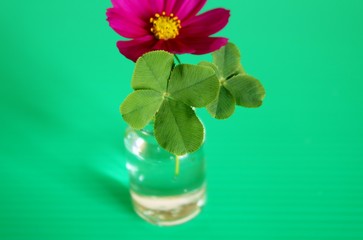 よつ葉クローバー　幸運　コスモス　花びん