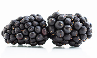 Close up blackberry on white background.
