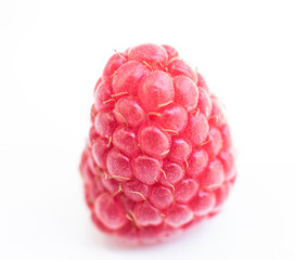 Close up raspberry on white background.