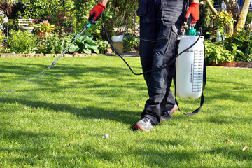 weedicide spray on the weeds in the garden. spraying pesticide with portable sprayer to eradicate...