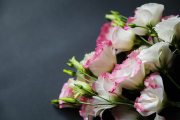 Delicate eustoma flowers of white and pink colors on a black background. Copy space