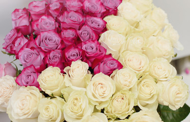 Natural pink and white roses background. Postcard for a holiday. Valentine's day. Mother's Day! Holidays concept. 8. 14.