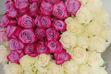 Natural pink and white roses background. Postcard for a holiday. Valentine's day. Mother's Day! Holidays concept. 8. 14.