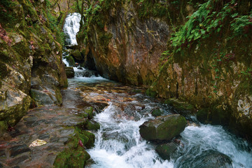Naklejka na ściany i meble Ayazma National Park in Ida Mountains and flowing stream with waterfall