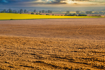 Sunset over plowed land landscape with rapeseed fields. Ukraine, East 