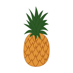 Multi-colored drawing. A pineapple. Tropical fruit. Vector illustration.