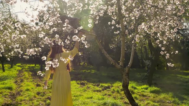 A happy and beautiful young pregnant woman living a healthy lifestyle outdoors walking and touching early spring flowers that bloom first of almond trees at city park downtown Madrid, Spain