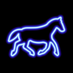 Blue neon sign of horse on black background © Maria S