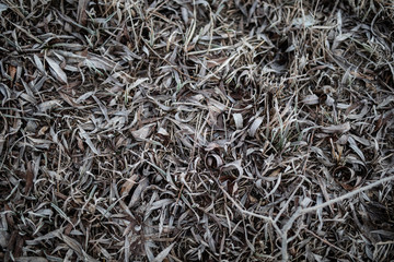 Gardens © Marcin