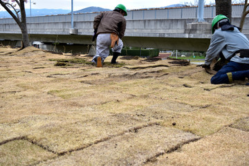芝生はり工事