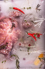 Big octopus frozen with vegetables in ice. Top view
