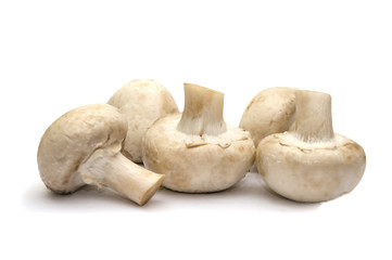 porcini mushrooms, champignons on a white background.