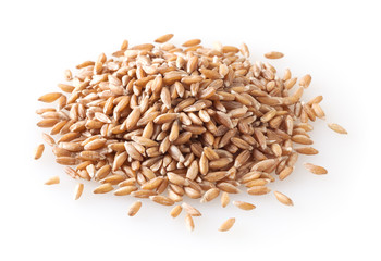Obraz premium Heap of uncooked dried spelt grains isolated on white background