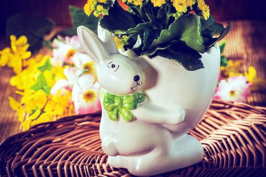 Flowers in a pot.