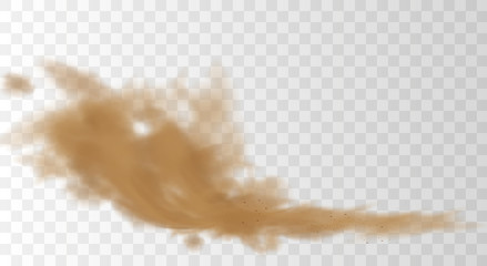 3d realistic dust cloud isolated on a transparent background.Brown dusty cloud or dry sand flying with a gust of wind. 