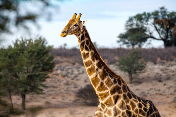 Südafrika