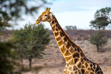 Südafrika