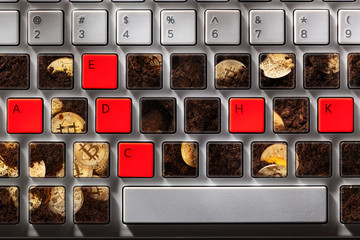 Bitcoins needed to unlock an hacked computer system