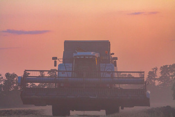Harvesting in a wheat field combine.