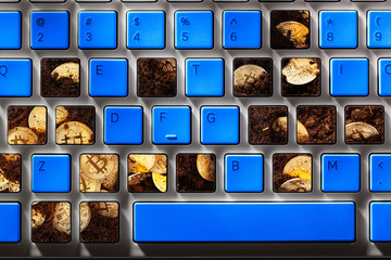 Mining bitcoins with computer system concept