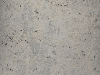 Concrete wall background texture 