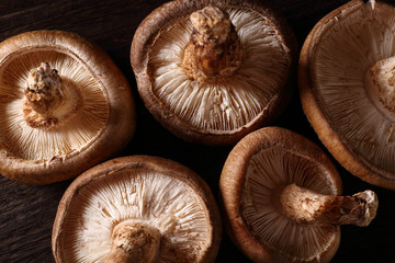 しいたけのクローズアップ