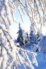 Winter in Levi, Lapland