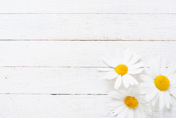 Obraz premium Chamomiles on white wooden background
