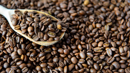 roasted coffee beans on a wooden spoon