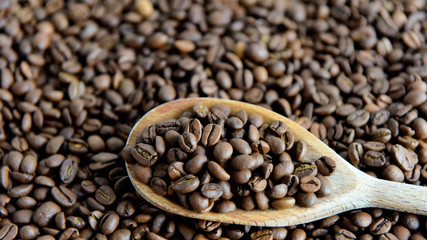 roasted coffee beans on a wooden spoon