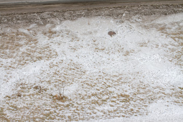 a dirty snow on a spring field
