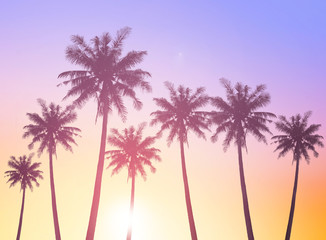 Plakat World Tourism Day concept: Silhouettes of coconut trees against the setting sun