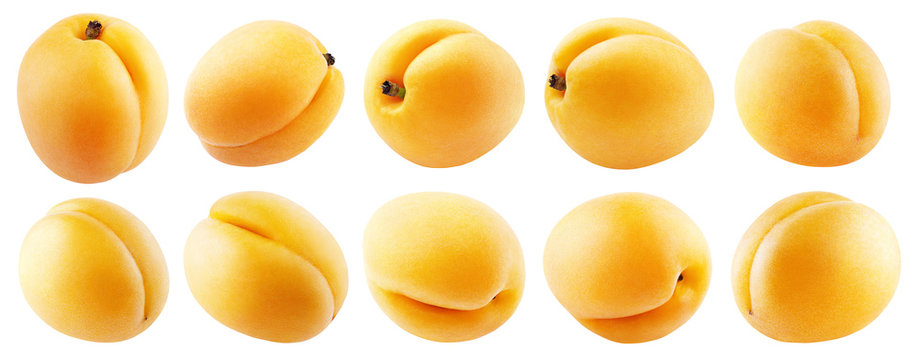 Collection of apricot or yellow plum fruits isolated on white background with clipping path. Full depth of field.