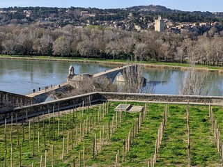 Avignon rempart forteresse, jardin pont d'avignon france, vaucluse
