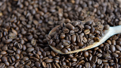 roasted coffee beans on a wooden spoon