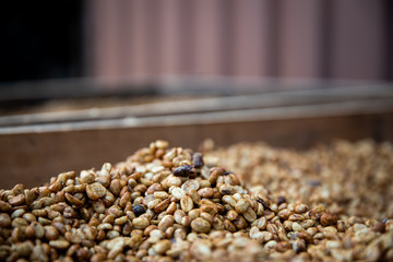 Natural or Dried in the coffee Process, honey Process skin and pulp are removed, but some or all of the mucilage (Honey) remains. Washed Process skin, pulp, and mucilage are removed using water and fe