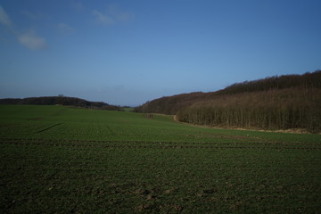 Green grass field on small hills and blue sky with clouds