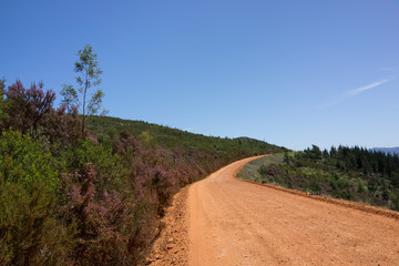 Fototapeta na wymiar Gravel roads in mountain range